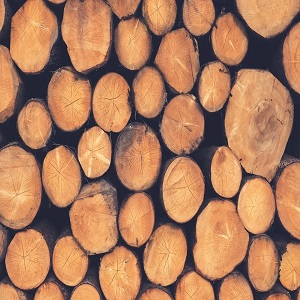 Importance Of Quality Timber Supplies